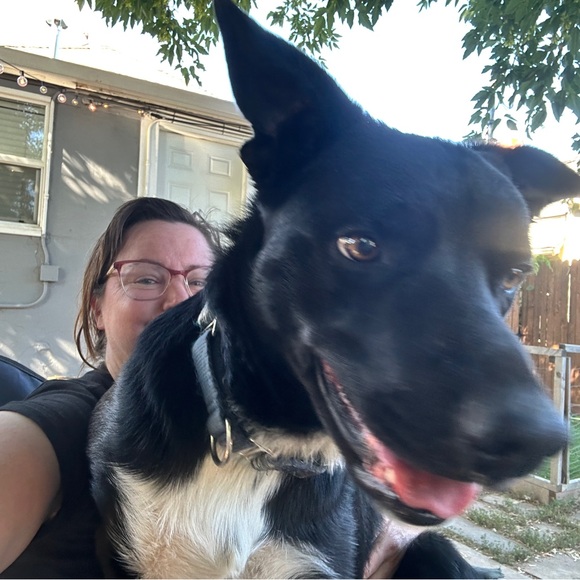 Meet your Posher, Lora - Picture 1 of 1